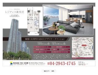 フライヤータイプ D